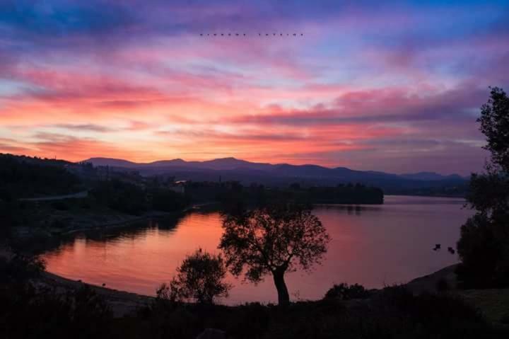 Gougousis Apartments Kaloyiros Dış mekan fotoğraf