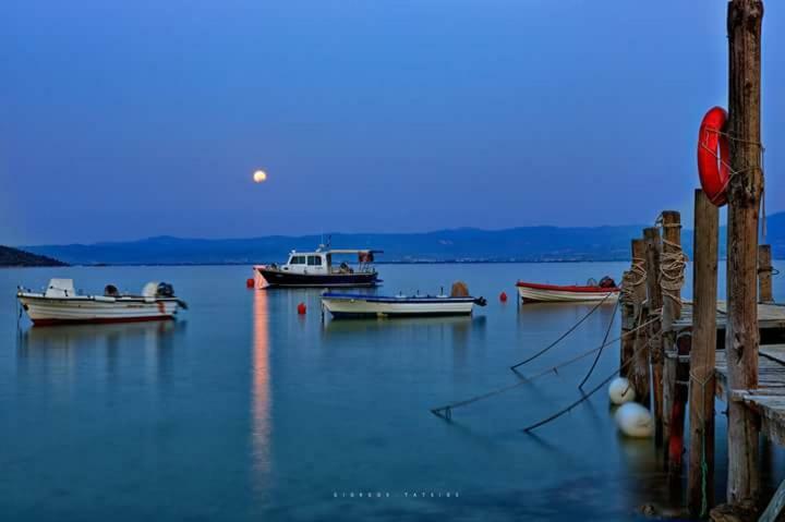 Gougousis Apartments Kaloyiros Dış mekan fotoğraf