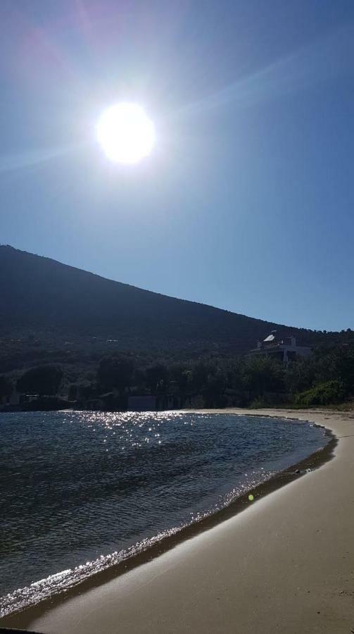 Gougousis Apartments Kaloyiros Dış mekan fotoğraf